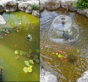 Large Fishpond/Water Feature Pack